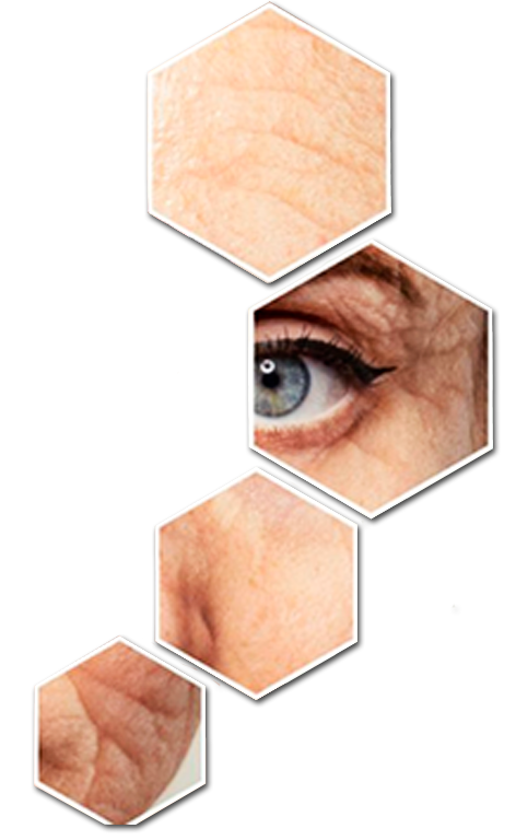 ESTETICA PATRICIA MOREIRA HEAD 3D